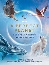 Идеальная планета / A Perfect Planet